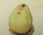 It is the Pear!